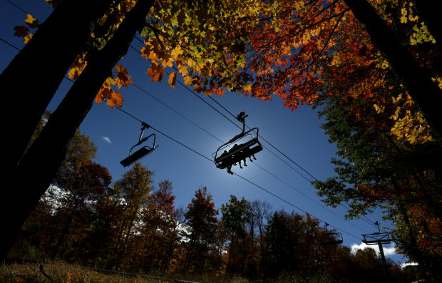 Fall colors around the world
